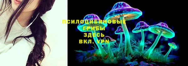 дмт Аркадак