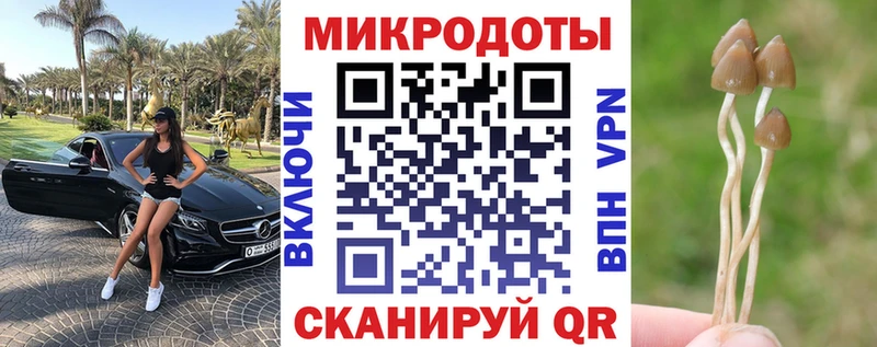 Псилоцибиновые грибы MAGIC MUSHROOMS Котово