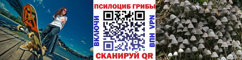 где продают   Котово  нарко площадка наркотические препараты  Псилоцибиновые грибы Cubensis 